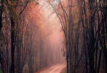 对联鉴赏(对联鉴赏大全)