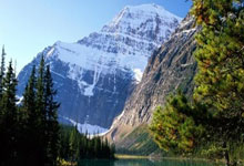 对联鉴赏(对联鉴赏大全)