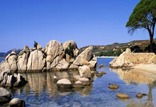 对联鉴赏(对联鉴赏大全)